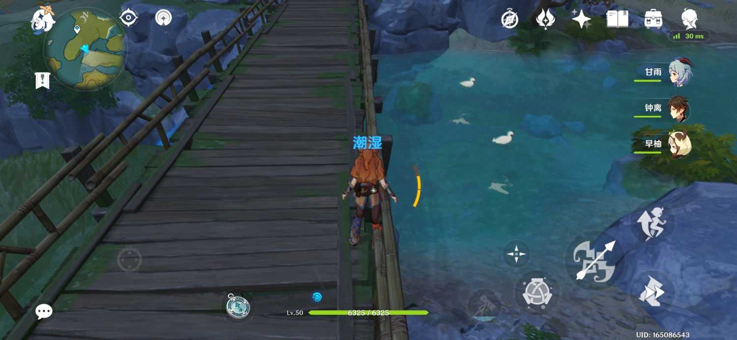 《原神》鴨子哪裡多？鴨子位置分享