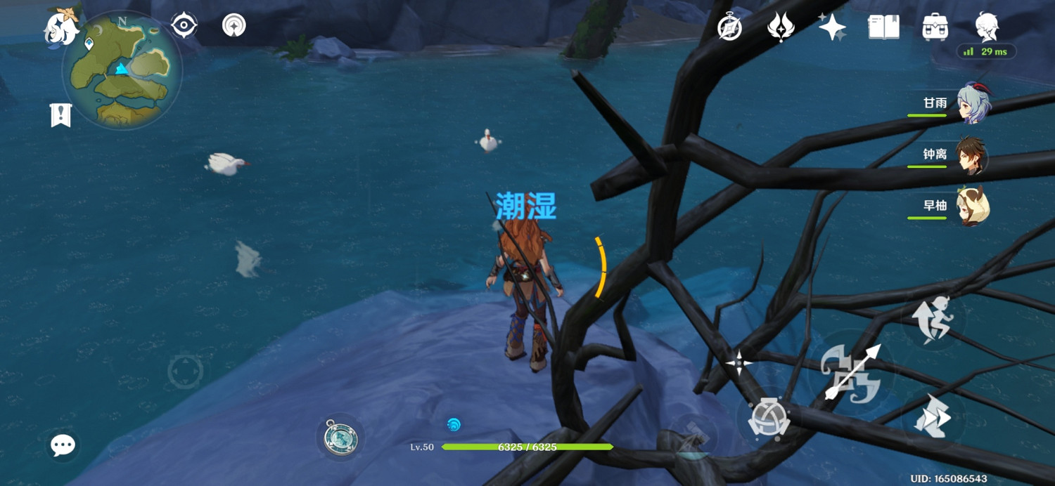 《原神》鴨子哪裡多？鴨子位置分享