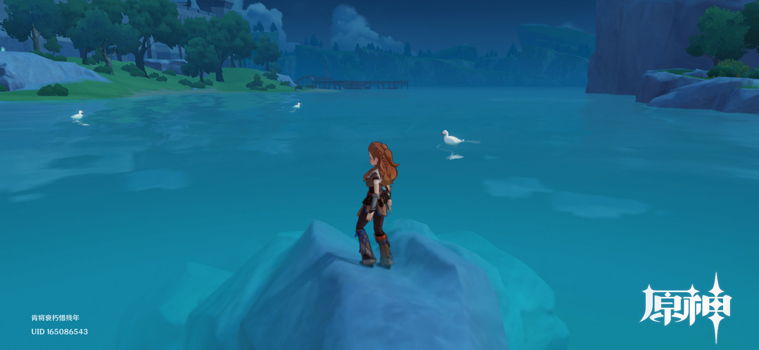 《原神》鴨子哪裡多？鴨子位置分享