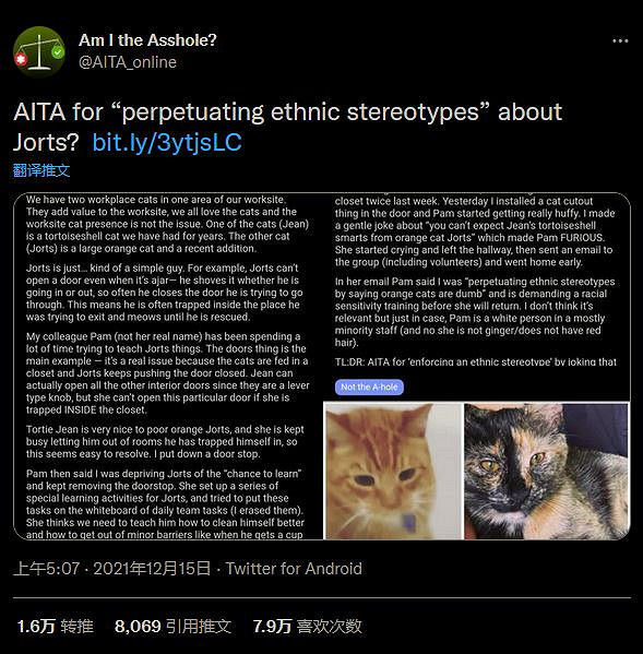 《星露谷物語》Mod新增現實網紅貓咪作為NPC 《星露谷物語》Mod新增現實網紅貓咪作為NPC