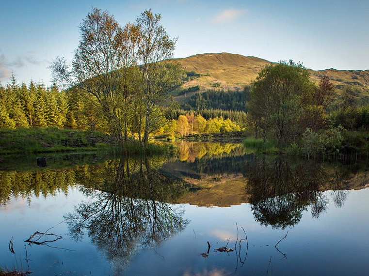 萬代在英國舉辦《艾爾登法環》比賽 勝者將分一塊地和頭銜 萬代在英國舉辦《艾爾登法環》比賽 勝者將分一塊地和頭銜