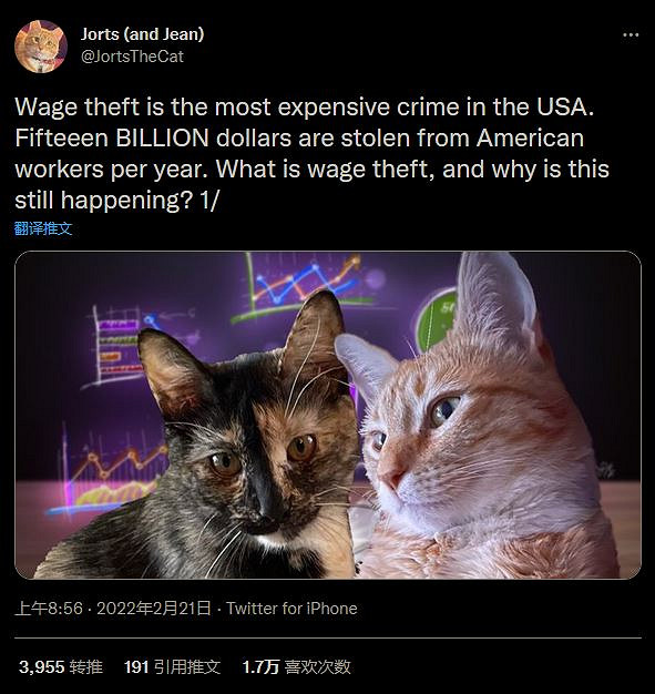 《星露谷物語》Mod新增現實網紅貓咪作為NPC 《星露谷物語》Mod新增現實網紅貓咪作為NPC