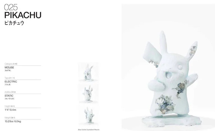 《丹尼爾的寶可夢圖鑒》發售 現代藝術家新演繹