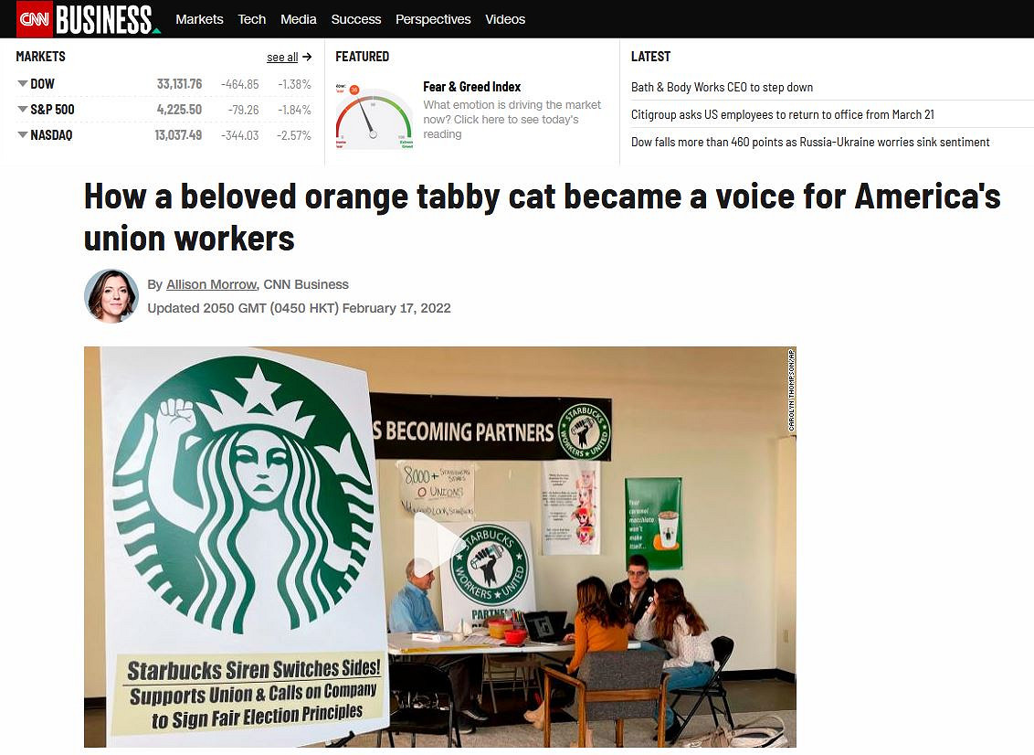 《星露谷物語》Mod新增現實網紅貓咪作為NPC 《星露谷物語》Mod新增現實網紅貓咪作為NPC