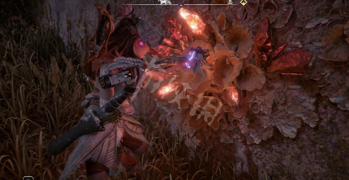 《地平線2西域禁地》遺跡無人地帶密碼是什麽?遺跡無人地帶收集攻略 《地平線2西域禁地》遺跡無人地帶密碼是什麽?遺跡無人地帶收集攻略