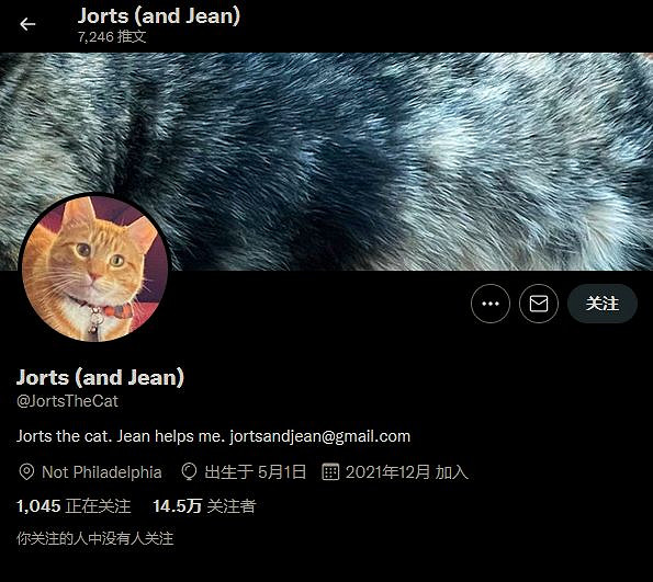 《星露谷物語》Mod新增現實網紅貓咪作為NPC 《星露谷物語》Mod新增現實網紅貓咪作為NPC