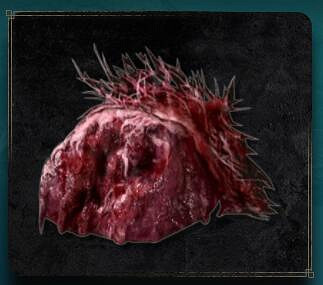 《艾爾登法環》全材料全收集方法 全物品獲得收集 《艾爾登法環》全材料全收集方法 全物品獲得收集