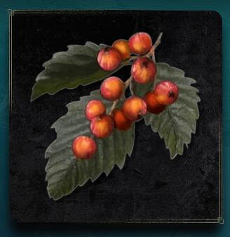 《艾爾登法環》全材料全收集方法 全物品獲得收集 《艾爾登法環》全材料全收集方法 全物品獲得收集