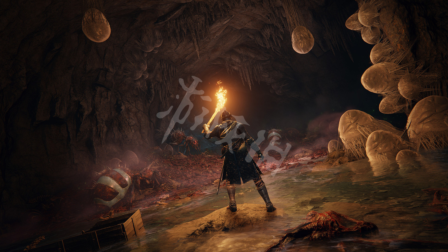 《艾爾登法環》修改器分享 遊戲修改器怎麽用？