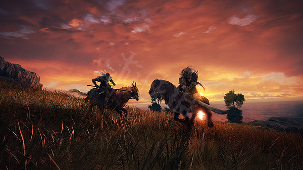 《艾爾登法環》靈馬在哪兒？靈馬獲取方式