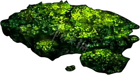 《艾爾登法環》全材料全收集方法 全物品獲得收集