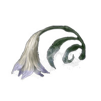 《艾爾登法環》全材料全收集方法 全物品獲得收集