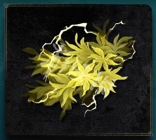 《艾爾登法環》全材料全收集方法 全物品獲得收集 《艾爾登法環》全材料全收集方法 全物品獲得收集