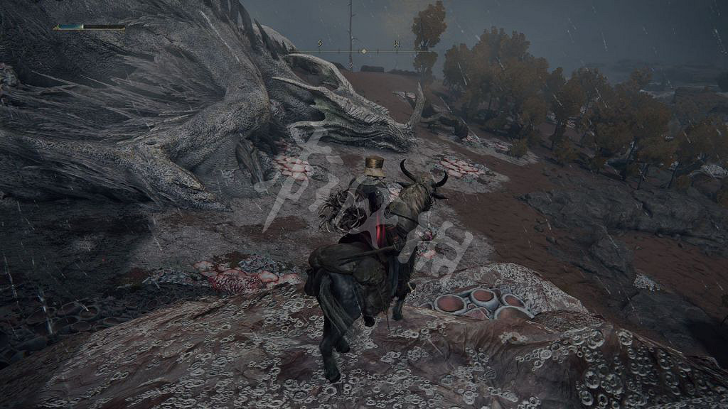 《艾爾登法環》龍心臟怎麽獲得？龍心臟獲得方法介紹