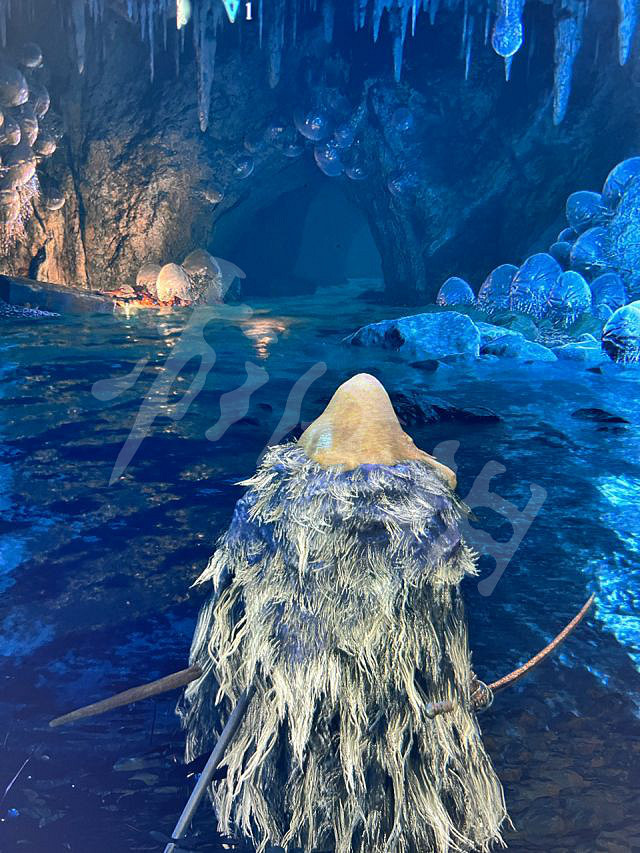 《艾爾登法環》月光大劍獲取方法 月光大劍任務詳細流程