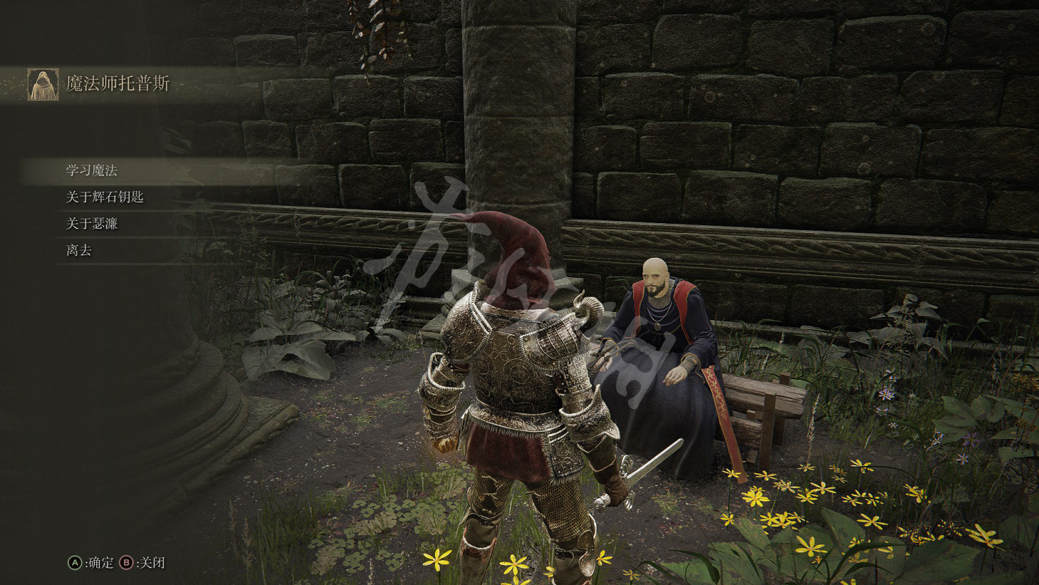 《艾爾登法環》星光技能在哪學?星光技能學習方法分享 《艾爾登法環》星光技能在哪學?星光技能學習方法分享