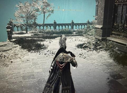 《艾爾登法環》拉達岡的肖像怎麽獲得？拉達岡的肖像位置介紹