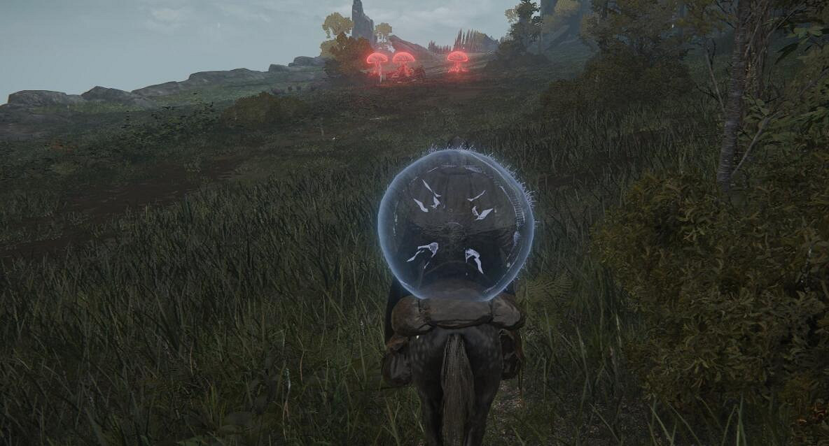 《艾爾登法環》水母盾在哪?水母盾位置地圖分享 《艾爾登法環》水母盾在哪?水母盾位置地圖分享