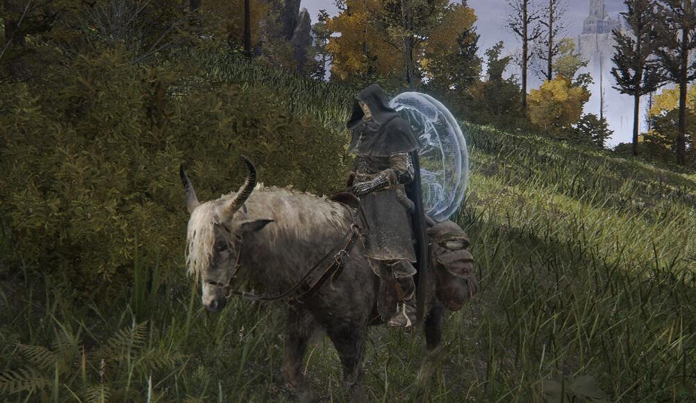 《艾爾登法環》水母盾在哪?水母盾位置地圖分享 《艾爾登法環》水母盾在哪?水母盾位置地圖分享