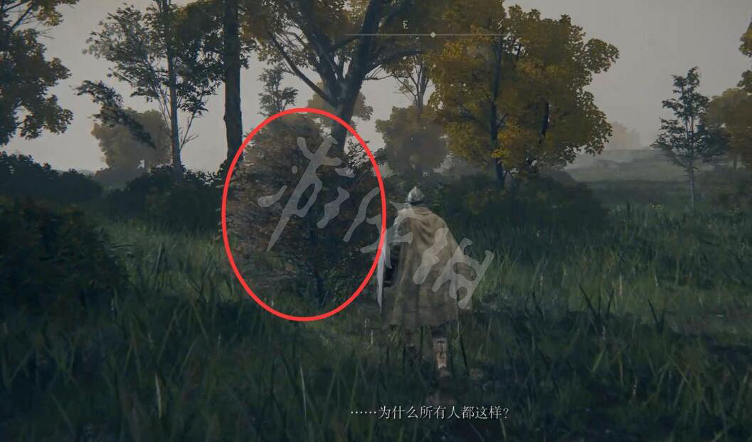 《艾爾登法環》隱藏NPC位置地圖大全 隱藏NPC有哪些？