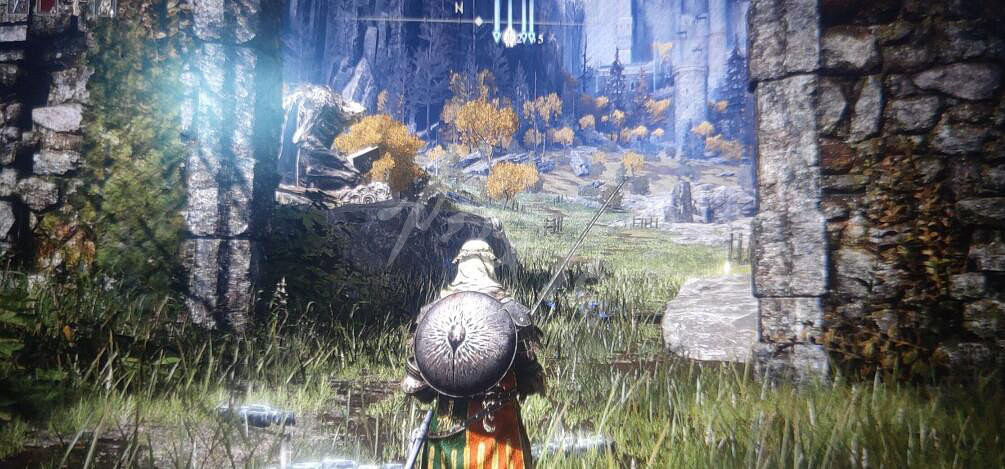 《艾爾登法環》羅蕾塔的大弓在哪拿？羅蕾塔的大弓獲得方法