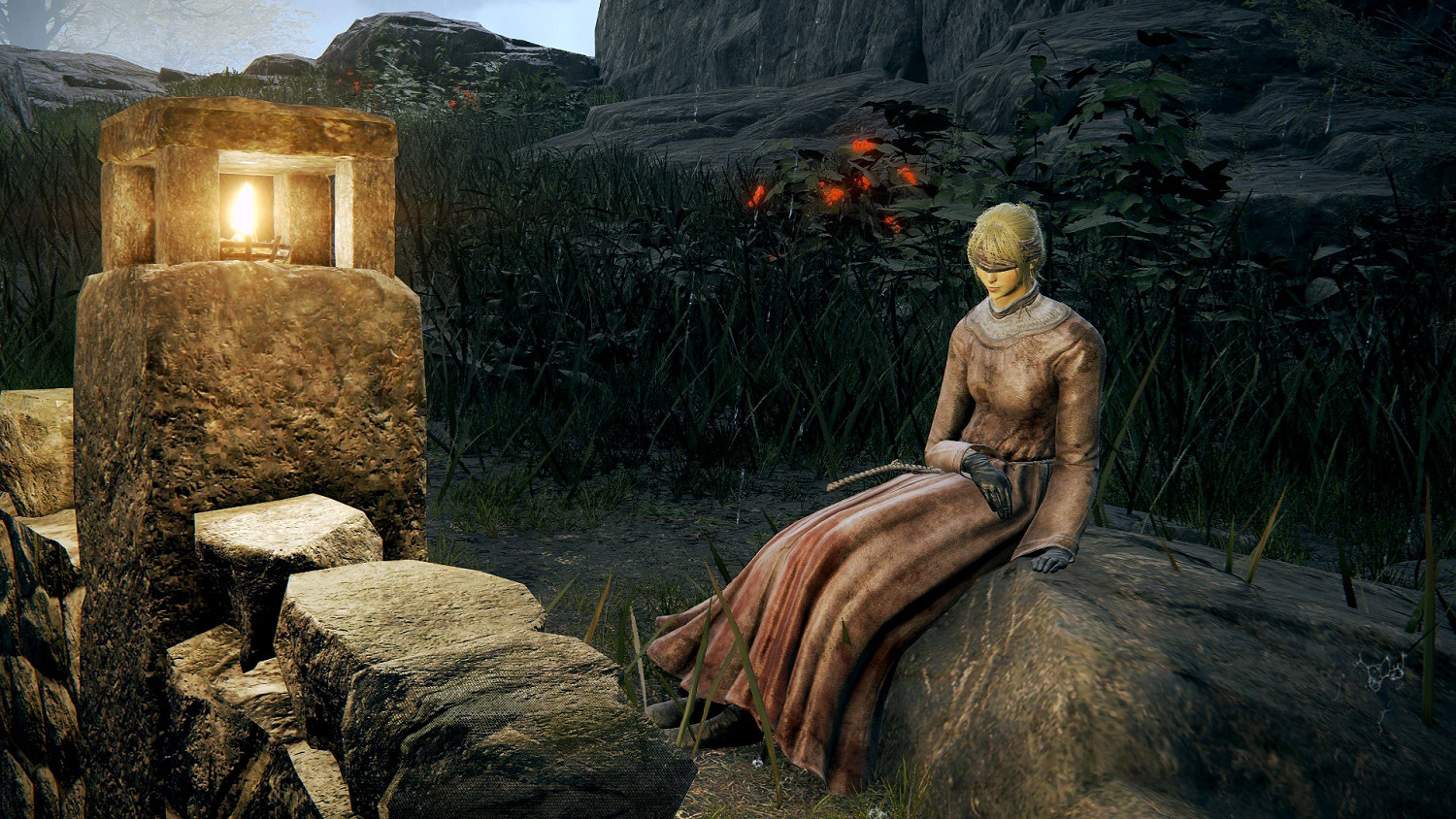 《艾爾登法環》黃金種子有什麽用？黃金種子分布位置一覽