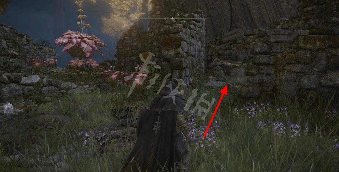 《艾爾登法環》NPC位置及可獲得物品大全 NPC介紹 《艾爾登法環》NPC位置及可獲得物品大全 NPC介紹