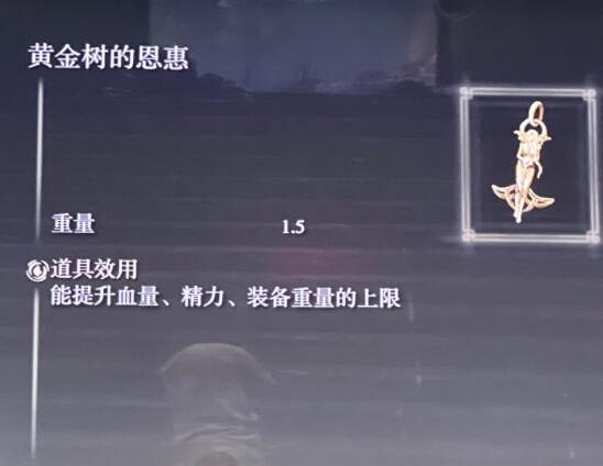 《艾爾登法環》觀星者裝備用什麽？觀星者開荒路線心得