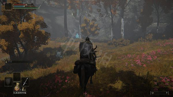 《艾爾登法環》隱身塔怎麽開？海市蜃樓法師塔開啟方法介紹