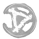 《黎明死線》可能報點行為介紹 《黎明死線》可能報點行為介紹