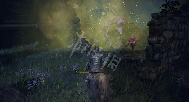 《艾爾登法環》王室卷軸給誰?王室卷軸位置及魔法學習方法 《艾爾登法環》王室卷軸給誰?王室卷軸位置及魔法學習方法