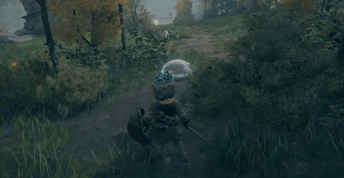 《艾爾登法環》記憶石獲取方法圖文介紹 記憶石在哪裡? 《艾爾登法環》記憶石獲取方法圖文介紹 記憶石在哪裡?