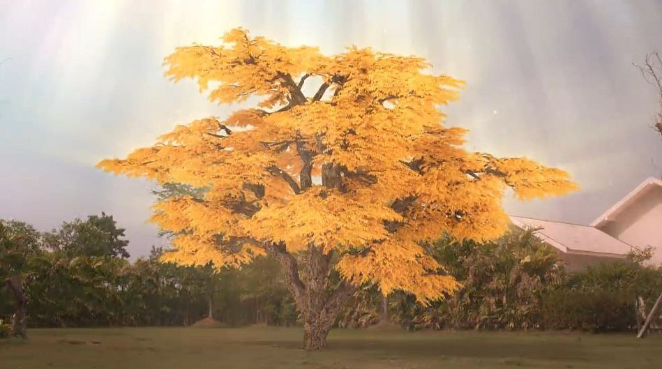 泰國《艾爾登法環》預告是一部真人肥皂劇