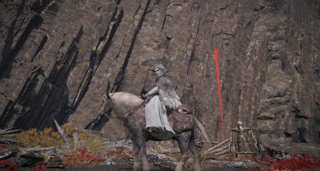 《艾爾登法環》獵犬步法戰灰怎麽獲得？獵犬步法獲得方法