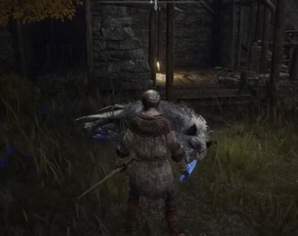 《艾爾登法環》涅菲利在哪？白金村支線攻略詳解