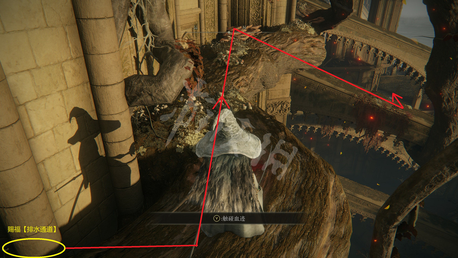 《艾爾登法環》龍徽大盾護符怎麽獲得?龍徽大盾護符獲得方法介紹 《艾爾登法環》龍徽大盾護符怎麽獲得?龍徽大盾護符獲得方法介紹