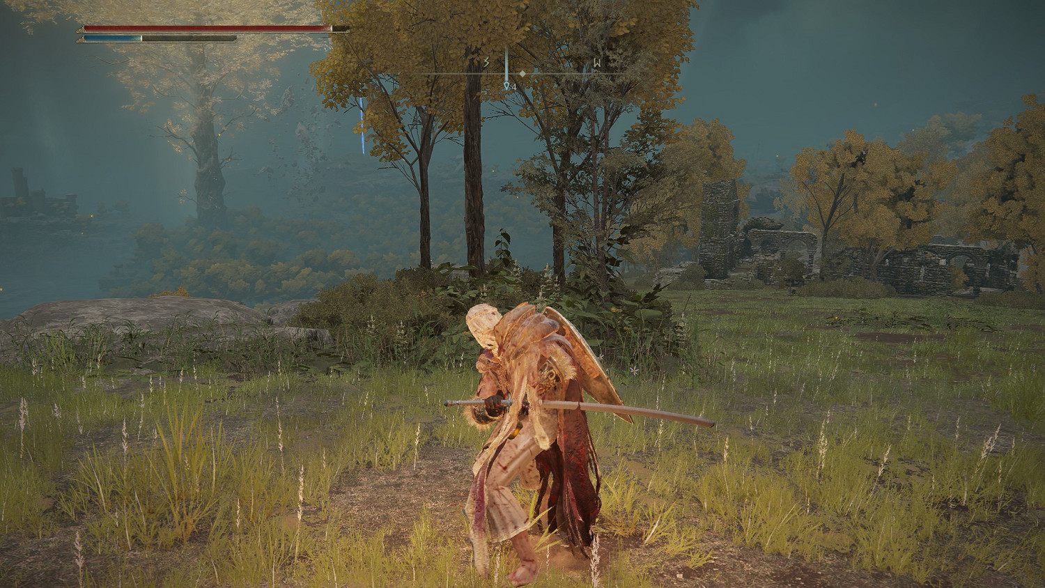 《艾爾登法環》法師完全攻略分享