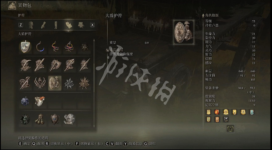 《艾爾登法環》大盾護符如何獲取?大盾護符獲取方法 《艾爾登法環》大盾護符如何獲取?大盾護符獲取方法