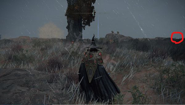 《艾爾登法環》隱藏道具有哪些？野獸神廟隱藏道具介紹