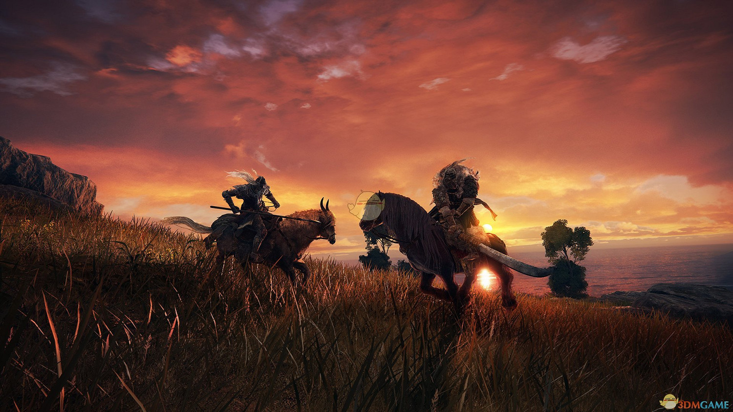 《艾爾登法環》黑刀狄希骨灰評價介紹 《艾爾登法環》黑刀狄希骨灰評價介紹