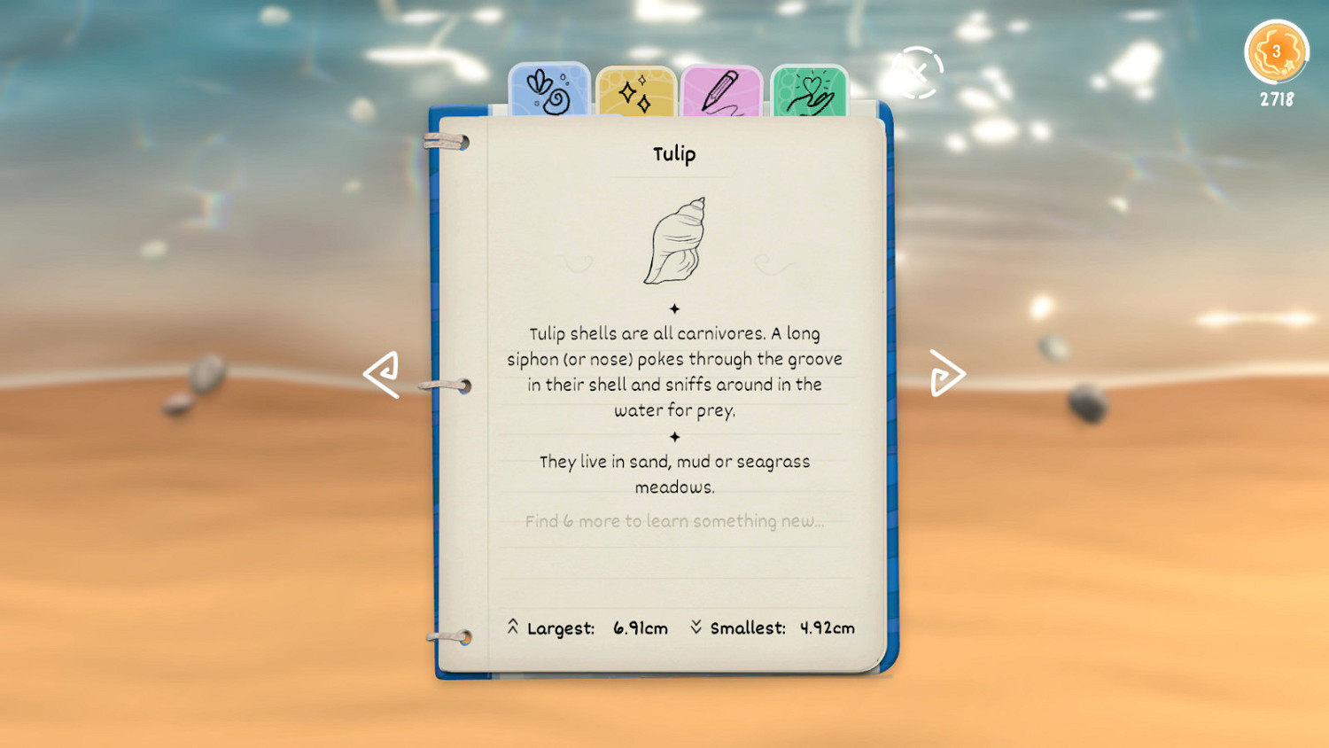 休閒禪意遊戲《Seashell》3月28日上線 支援中文 休閒禪意遊戲《Seashell》3月28日上線 支援中文