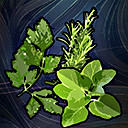 《流亡黯道》3.0升華天賦資料大全 什麽職業厲害? 《流亡黯道》3.0升華天賦資料大全 什麽職業厲害?