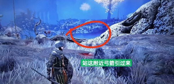 《艾爾登法環》死亡儀式鳥如何逃課?死亡儀式鳥逃課打法分享 《艾爾登法環》死亡儀式鳥如何逃課?死亡儀式鳥逃課打法分享