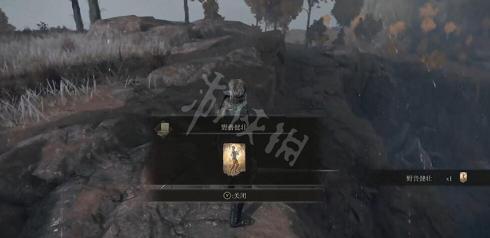 《艾爾登法環》野獸健壯禱告如何獲得？野獸健壯獲取方法