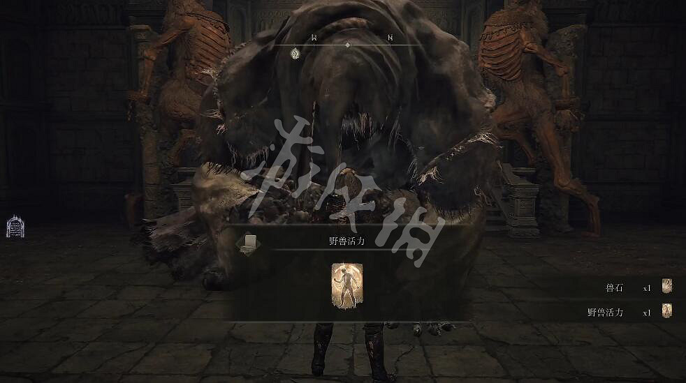 《艾爾登法環》野獸祭祀如何和平死亡？野獸祭祀和平死亡的方法