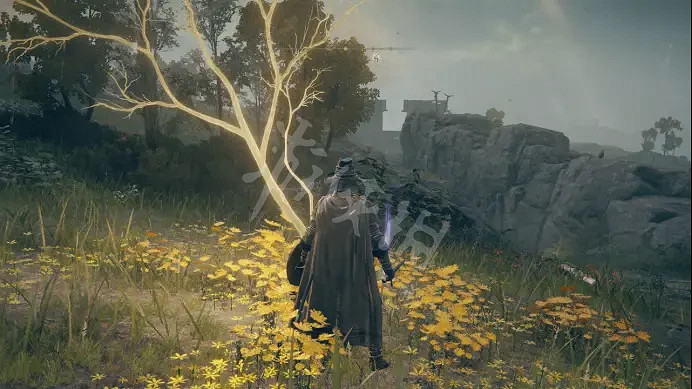 《艾爾登法環》如何做到全收集？寧姆格福全收集攻略分享