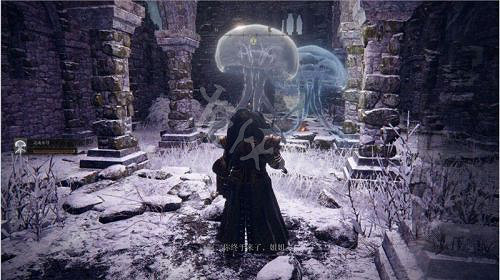 《艾爾登法環》靈魂水母支線怎麽做？靈魂水母支線任務攻略分享