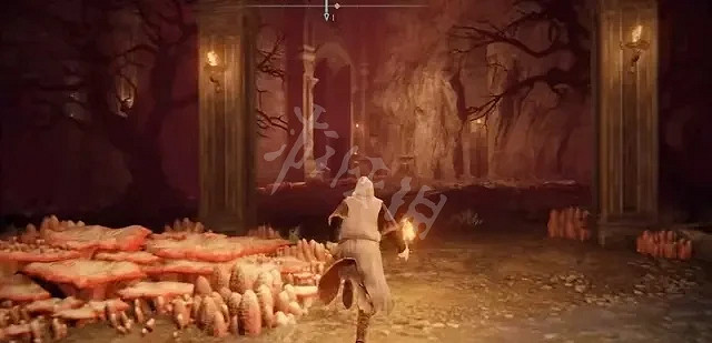 《艾爾登法環》地下地圖碎片在哪？地下地圖碎片位置介紹