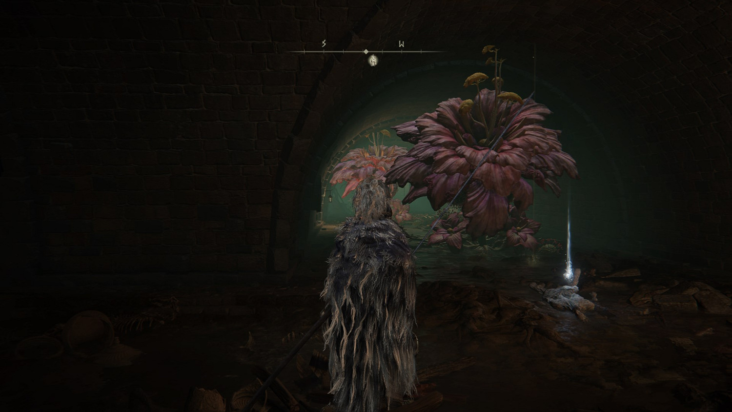 《艾爾登法環》惡兆下水道怎麽走?惡兆下水道路線走法 《艾爾登法環》惡兆下水道怎麽走?惡兆下水道路線走法