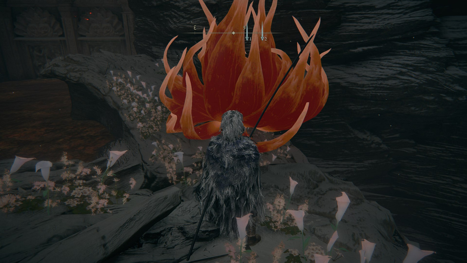 《艾爾登法環》聖樹怎麽去?金針支線任務流程攻略 《艾爾登法環》聖樹怎麽去?金針支線任務流程攻略